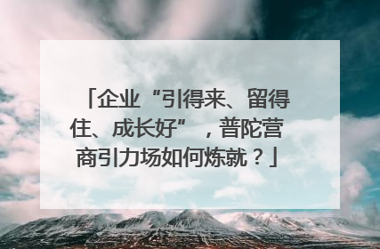 企业“引得来、留得住、成长好”，普陀营商引力场如何炼就？