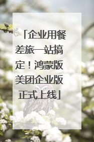 企业用餐差旅一站搞定！鸿蒙版美团企业版正式上线