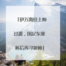 伊万离任土帅过渡，国足东亚杯后再寻新帅