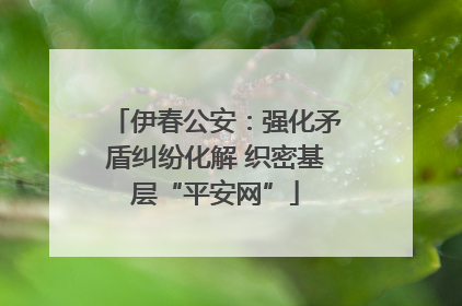 伊春公安：强化矛盾纠纷化解 织密基层“平安网”