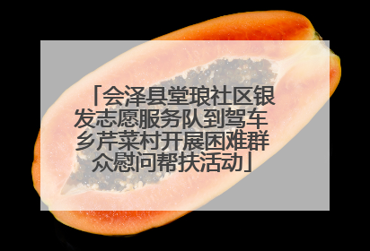 会泽县堂琅社区银发志愿服务队到驾车乡芹菜村开展困难群众慰问帮扶活动