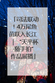 司法联动！4万尾鱼苗跃入长江｜“天平杯·随手拍”作品展播