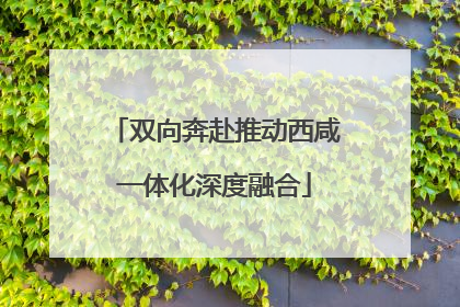 双向奔赴推动西咸一体化深度融合