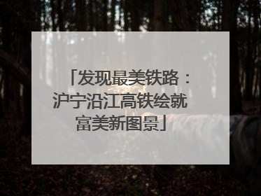 发现最美铁路：沪宁沿江高铁绘就富美新图景