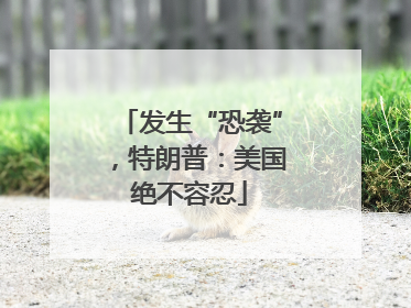 发生“恐袭”，特朗普：美国绝不容忍