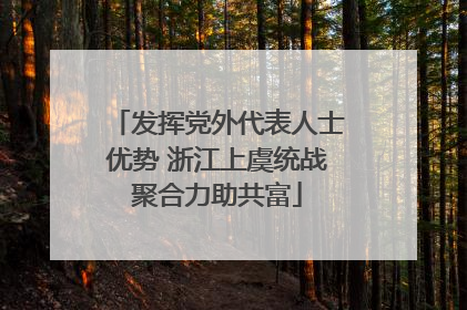 发挥党外代表人士优势 浙江上虞统战聚合力助共富