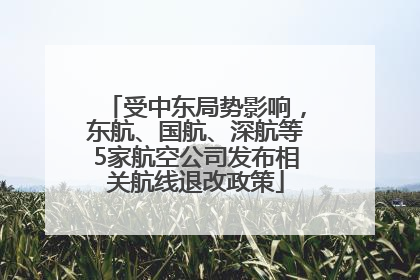 受中东局势影响，东航、国航、深航等5家航空公司发布相关航线退改政策