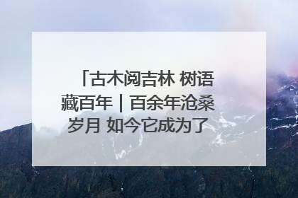 古木阅吉林 树语藏百年｜百余年沧桑岁月 如今它成为了“镇园之宝”