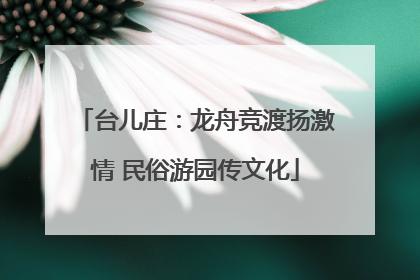 台儿庄：龙舟竞渡扬激情 民俗游园传文化