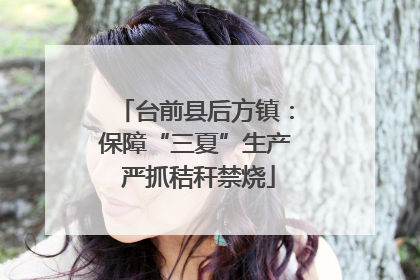 台前县后方镇：保障“三夏”生产 严抓秸秆禁烧