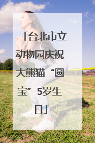 台北市立动物园庆祝大熊猫“圆宝”5岁生日
