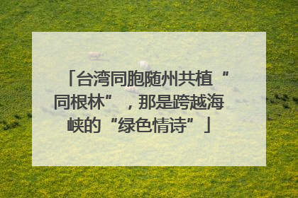 台湾同胞随州共植“同根林”，那是跨越海峡的“绿色情诗”