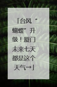 台风“蝴蝶”升级！厦门未来七天都是这个天气→