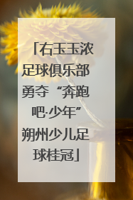 右玉玉浓足球俱乐部勇夺“奔跑吧·少年”朔州少儿足球桂冠