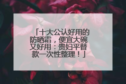十大公认好用的防晒霜，便宜大碗又好用：贵妇平替款一次性整理！