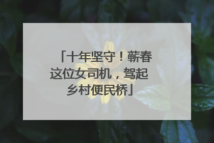 十年坚守！蕲春这位女司机，驾起乡村便民桥