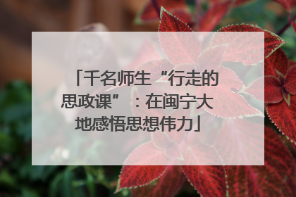 千名师生“行走的思政课”：在闽宁大地感悟思想伟力