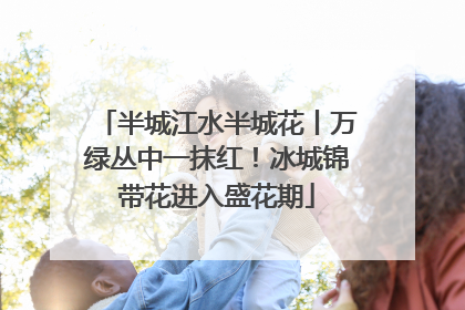 半城江水半城花丨万绿丛中一抹红！冰城锦带花进入盛花期