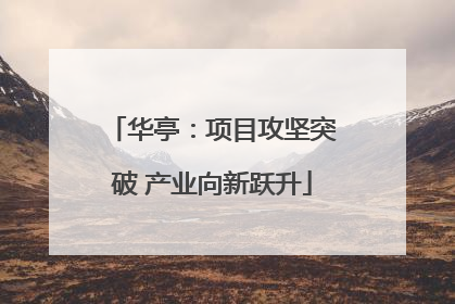 华亭：项目攻坚突破 产业向新跃升