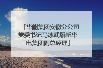 华能集团安徽分公司党委书记马冰武履新华电集团副总经理
