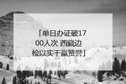 单日办证破1700人次 西藏边检以实干赢赞誉