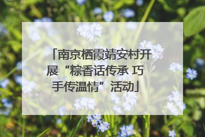南京栖霞靖安村开展“粽香话传承 巧手传温情”活动