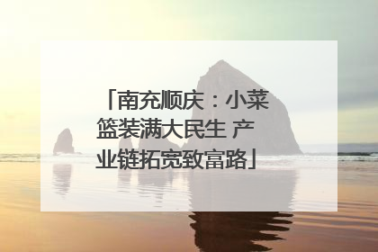南充顺庆：小菜篮装满大民生 产业链拓宽致富路