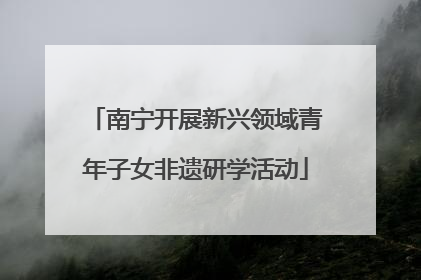 南宁开展新兴领域青年子女非遗研学活动