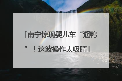 南宁惊现婴儿车“遛鸭”！这波操作太吸睛