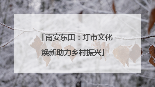 南安东田：圩市文化焕新助力乡村振兴