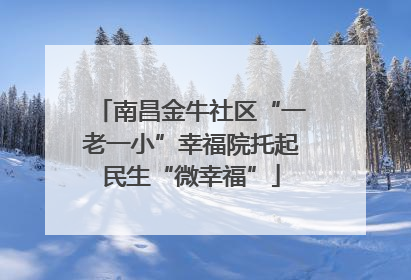 南昌金牛社区“一老一小”幸福院托起民生“微幸福”