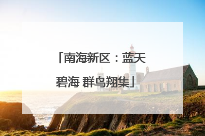 南海新区：蓝天碧海 群鸟翔集