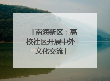 南海新区：高校社区开展中外文化交流