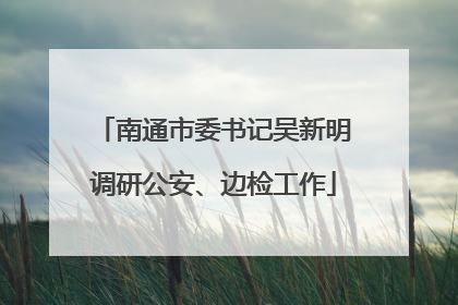 南通市委书记吴新明调研公安、边检工作