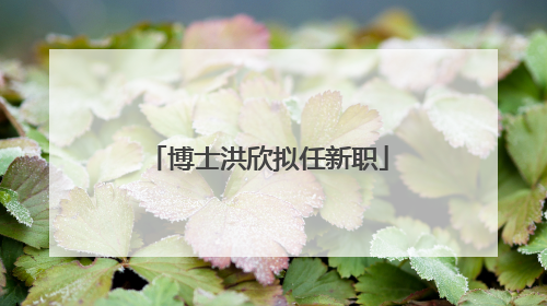 博士洪欣拟任新职