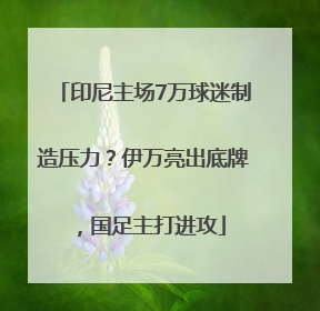 印尼主场7万球迷制造压力？伊万亮出底牌，国足主打进攻