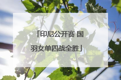 印尼公开赛 国羽女单四战全胜