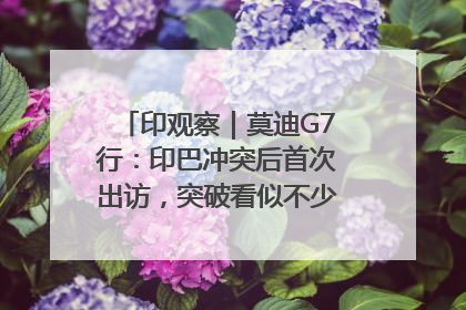 印观察｜莫迪G7行：印巴冲突后首次出访，突破看似不少实质成果不多