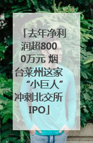 去年净利润超8000万元 烟台莱州这家“小巨人”冲刺北交所IPO