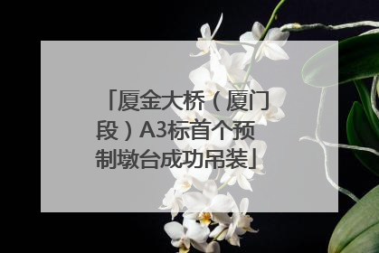 厦金大桥（厦门段）A3标首个预制墩台成功吊装