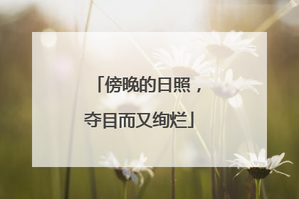 傍晚的日照，夺目而又绚烂