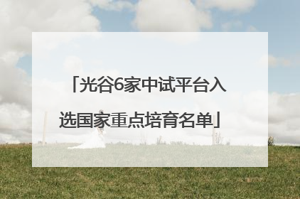 光谷6家中试平台入选国家重点培育名单