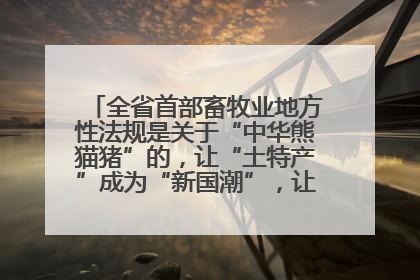 全省首部畜牧业地方性法规是关于“中华熊猫猪”的，让“土特产”成为“新国潮”，让“农产品”升格为“城市IP”