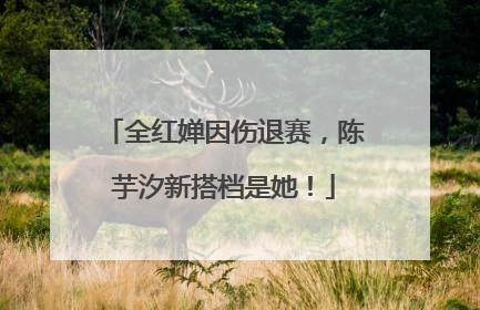 全红婵因伤退赛，陈芋汐新搭档是她！