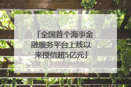 全国首个海事金融服务平台上线以来授信超5亿元