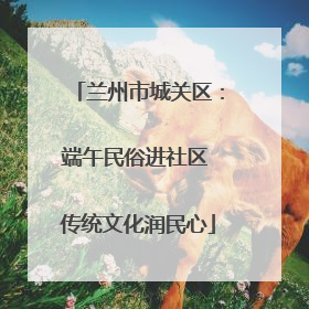 兰州市城关区：端午民俗进社区 传统文化润民心