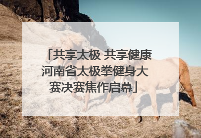 共享太极 共享健康 河南省太极拳健身大赛决赛焦作启幕