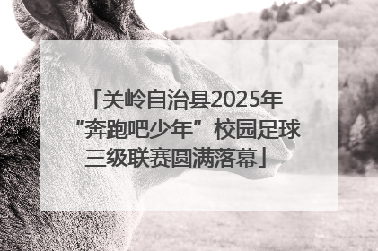 关岭自治县2025年“奔跑吧少年”校园足球三级联赛圆满落幕
