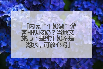 内蒙“牛奶湖”游客排队接奶？当地文旅局：是纯牛奶不是湖水，可放心喝