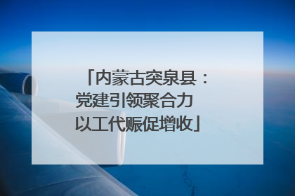 内蒙古突泉县：党建引领聚合力 以工代赈促增收
